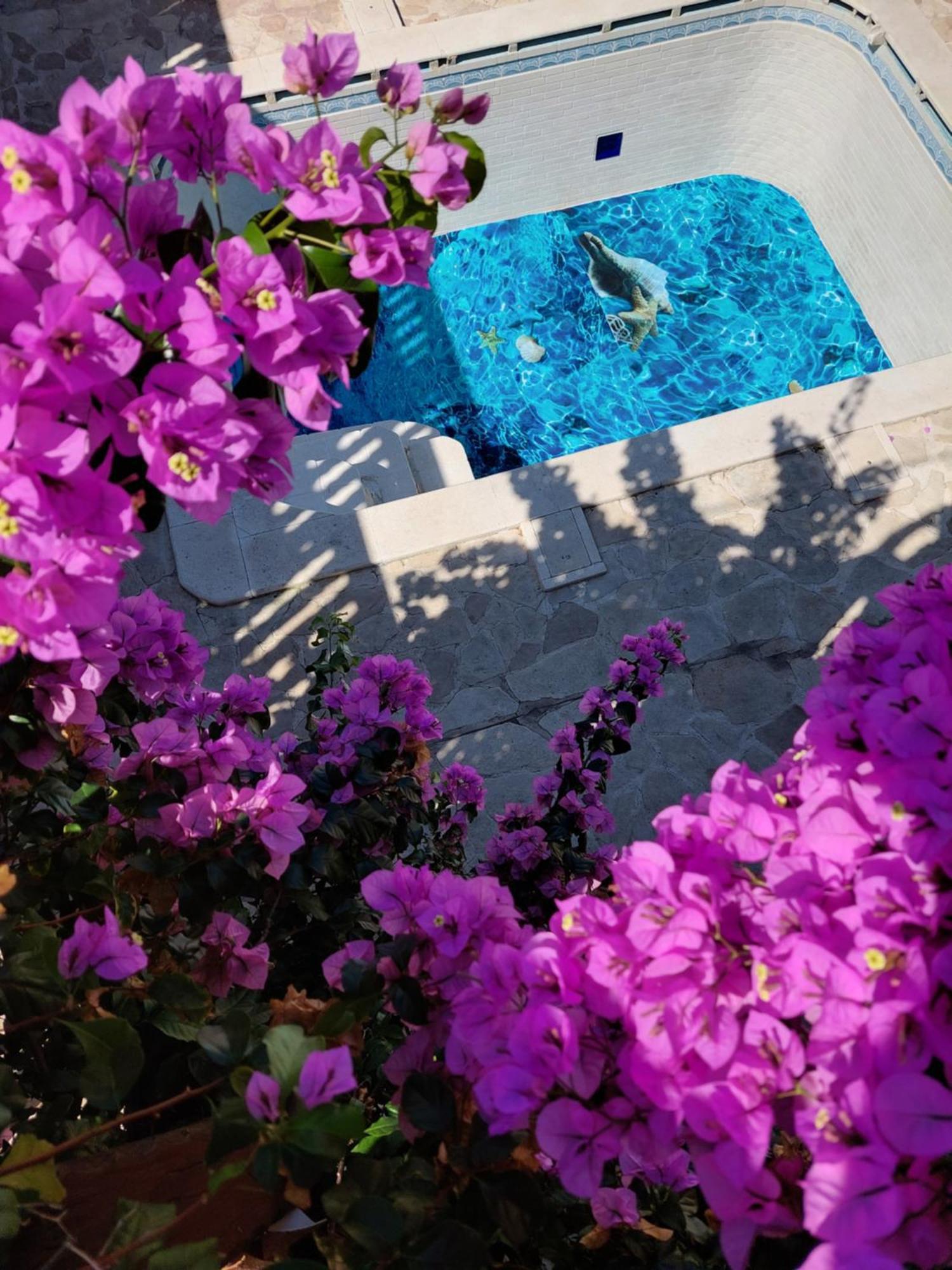 Studios Villa Romantica Zadar Buitenkant foto